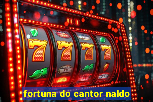 fortuna do cantor naldo